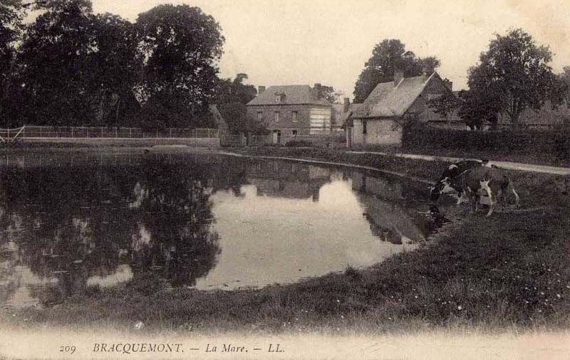 bracquemont-mare