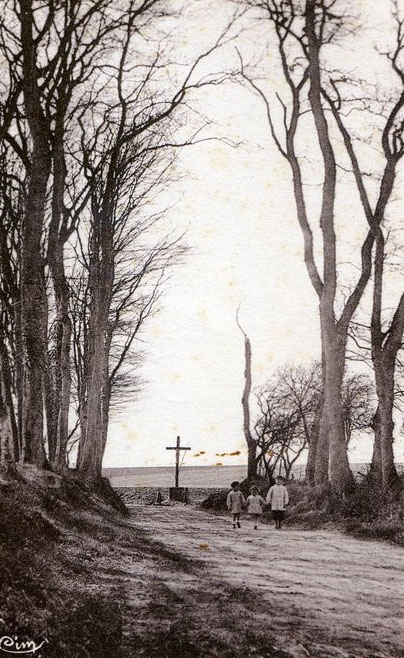 Le Chemin de la Mer<br>(Tocqueville-sur-Eu)