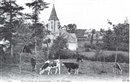 Un Paturage<br>(Notre-Dame-de-Gravenchon) - Port-Jrme-sur-Seine