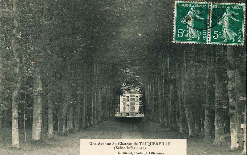 triquerville-avenue-chateau