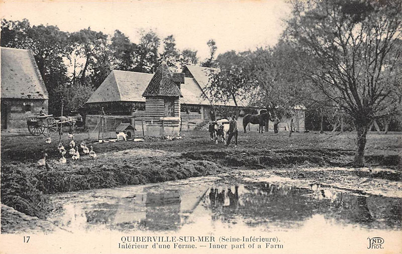 quiberville-ferme
