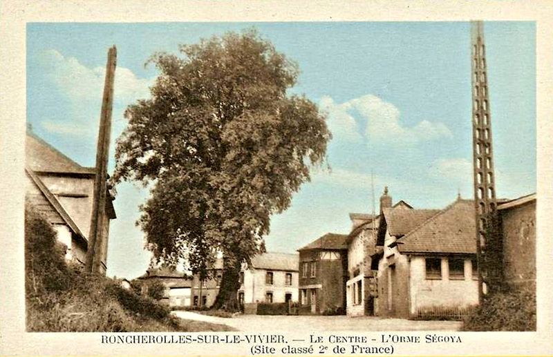 Le Centre - L'Orme Ségoya