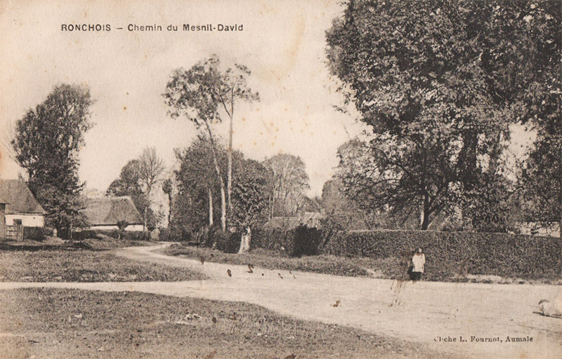 ronchois-chemin-mesnil-david