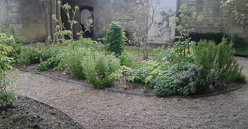 Le jardin du musée Flaubert