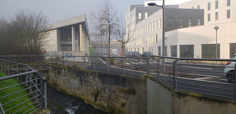 La route de Lyons-la-Forêt