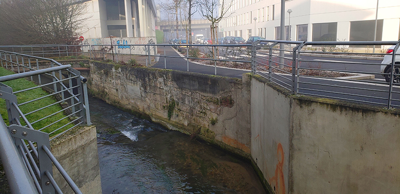 La route de Lyons-la-Forêt