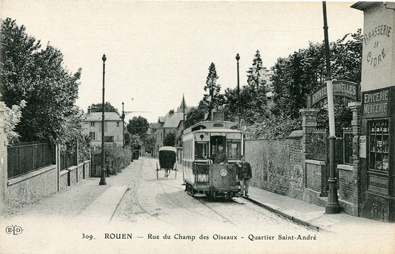 rouen-rue-champ-oiseaux3
