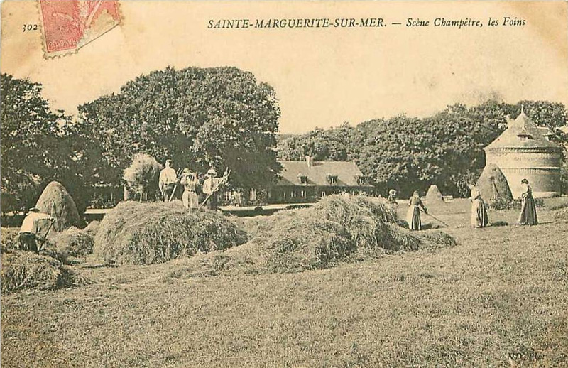 sainte-marguerite-sur-mer-foins