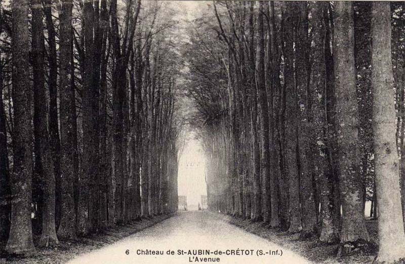 st-aubin-de-cretot-avenue