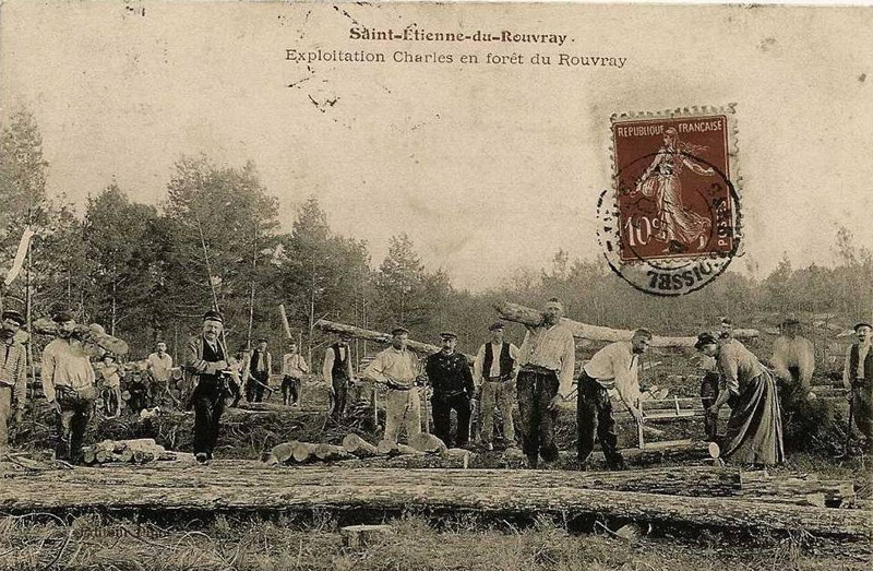 Exploitation Charles en Forêt du Rouvray