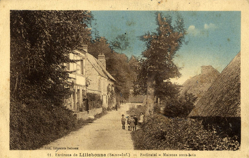 Radicatel - Maisons sous-bois