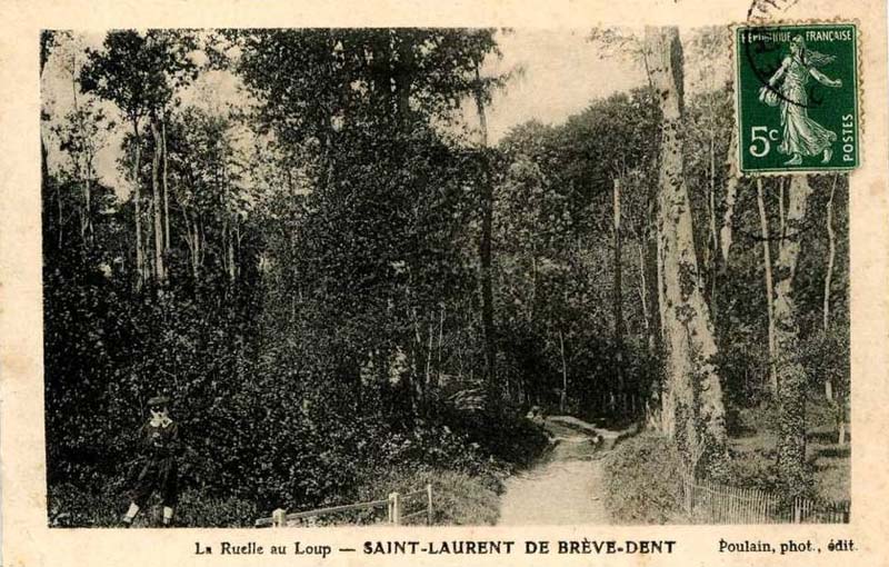 st-laurent-de-brevedent-ruelle-loup