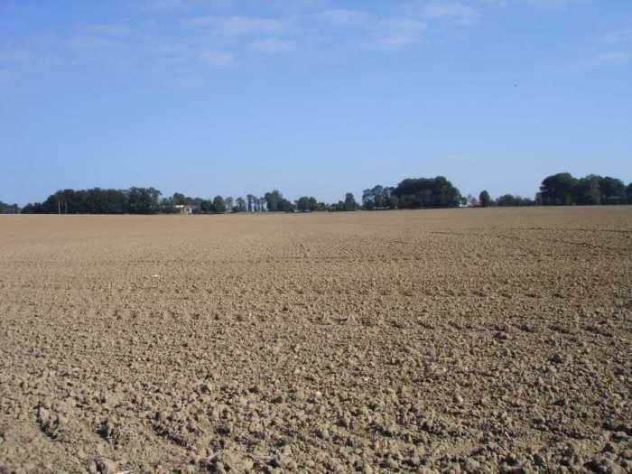 Labours au hameau du Bout du Bas