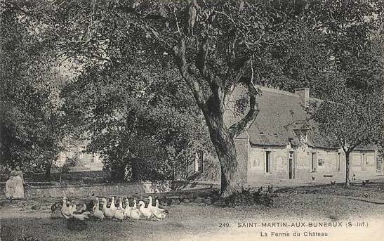 st-martin-aux-buneaux-ferme-chateau