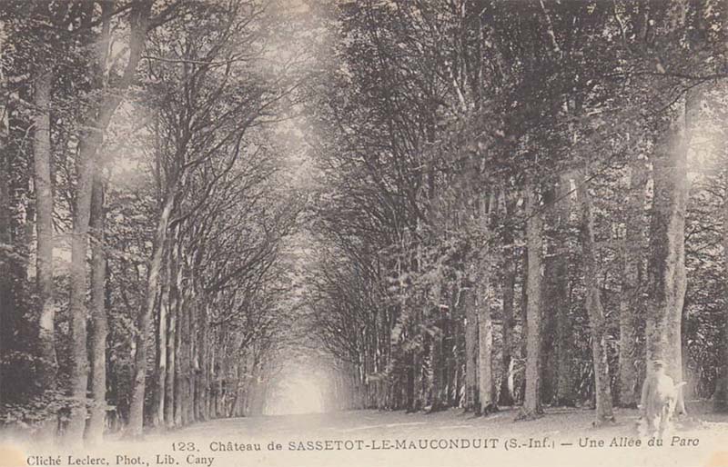 sassetot-le-mauconduit-allee-parc