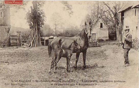 saumont-la-poterie-haut-coq