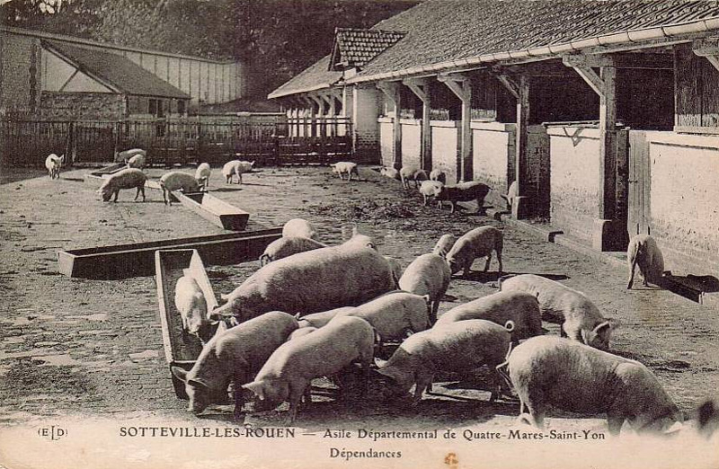 Asile D�partementale de Saint-Yon-Quatre-Mares