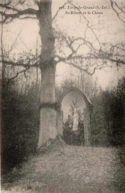 torcy-le-grand-st-ribert-chene