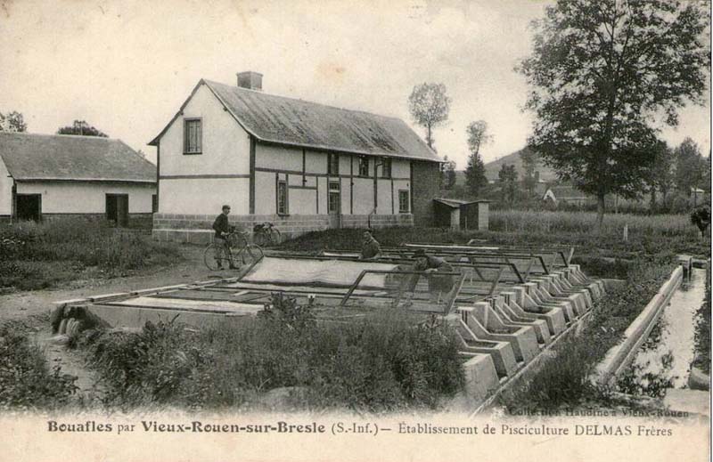 vieux-rouen-sur-bresle-pisciculture