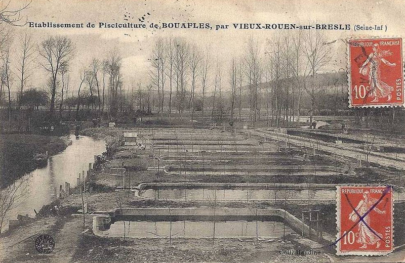 vieux-rouen-sur-bresle-pisciculture2