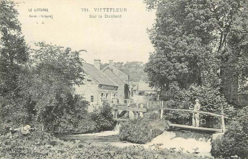 vittefleur-durdent3