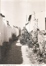Île d'Oléron - Saint-Denis - Venelle fleurie - 17 - Charente-Maritime