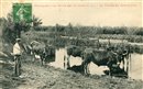 Le Pouliguen - La Ferme du Grand Clos - Loire-Atlantique