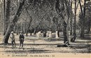 Le Pouliguen - Une Allée dans le Bois  - Loire-Atlantique