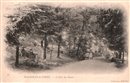 Bagnoles-de-l'Orne - L'Allée du Dante - 61 - Orne