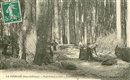 La Feuillie - Exploitation en Forêt - Charbonniers - 76 - Seine-Maritime