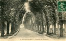 Gournay-en-Bray - Promenade des Boulevards - Seine-Maritime ( 76) - Normandie