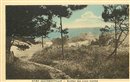 Quiberville - Sentier des joncs marins   - Seine-Maritime ( 76) - Normandie
