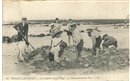 VEULES-LES-ROSES - Les Enfants sur la Plage - vers 1908 - Seine-Maritime ( 76) - Normandie