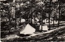 QUEND : Camping dans la fort de pins