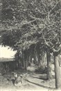 CAYEUX-SUR-MER : Les anciennes Corderies