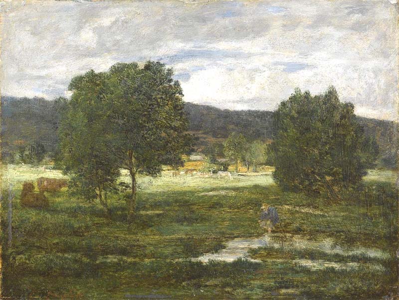 Paysage boisé