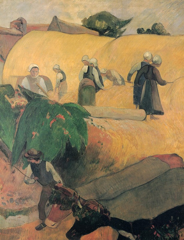 Moisson en Bretagne