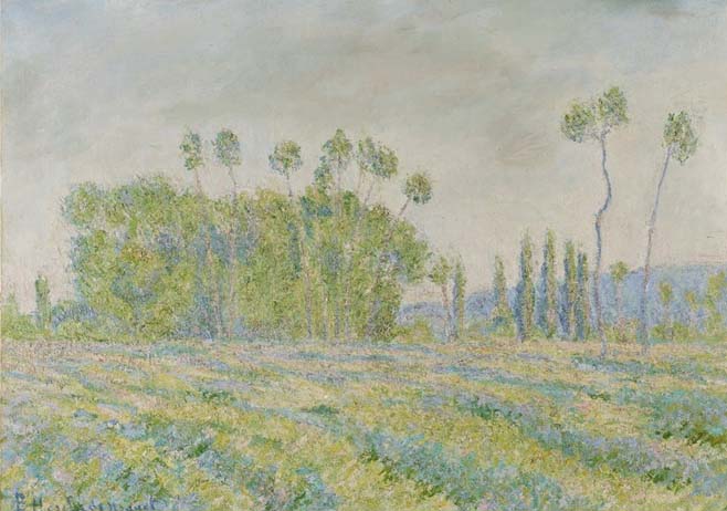 Peupliers des Ajoux, Giverny