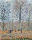 hoschede-monet-sous-bois-marais-giverny