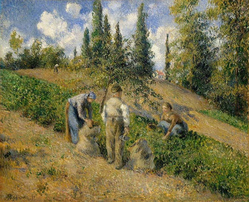 La Récolte, Pontoise